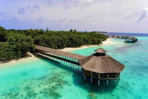 images/resorts/Reethi Beach/Reethi Beach6.jpg